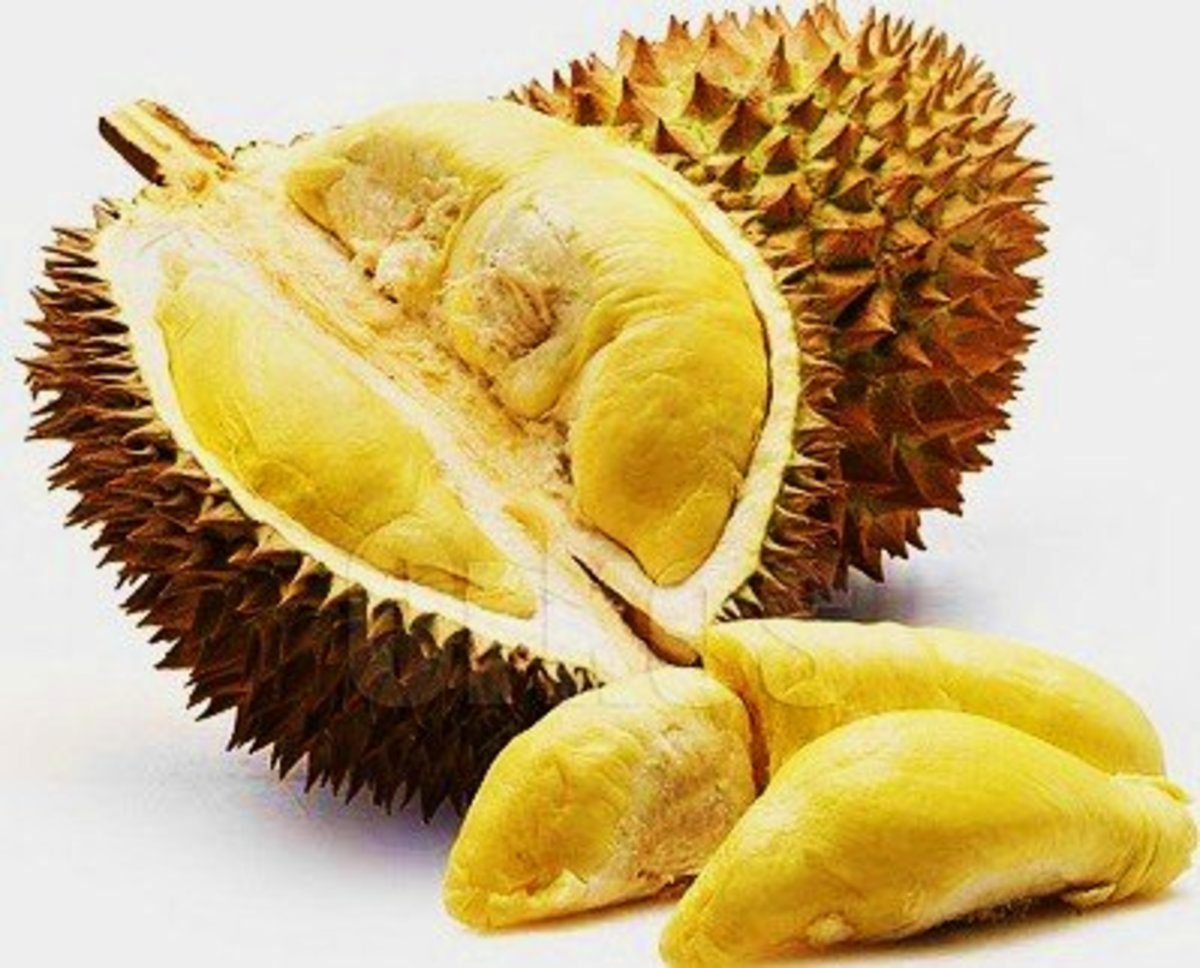  King of Fruits: Discover The Tropical Delight