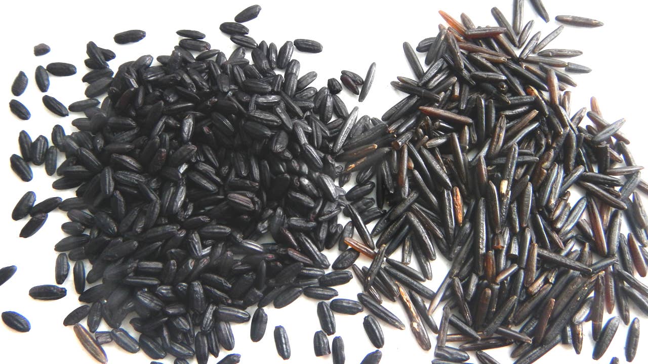 China Organic Black Rice Protein Manufacturers Suppliers Factory ...