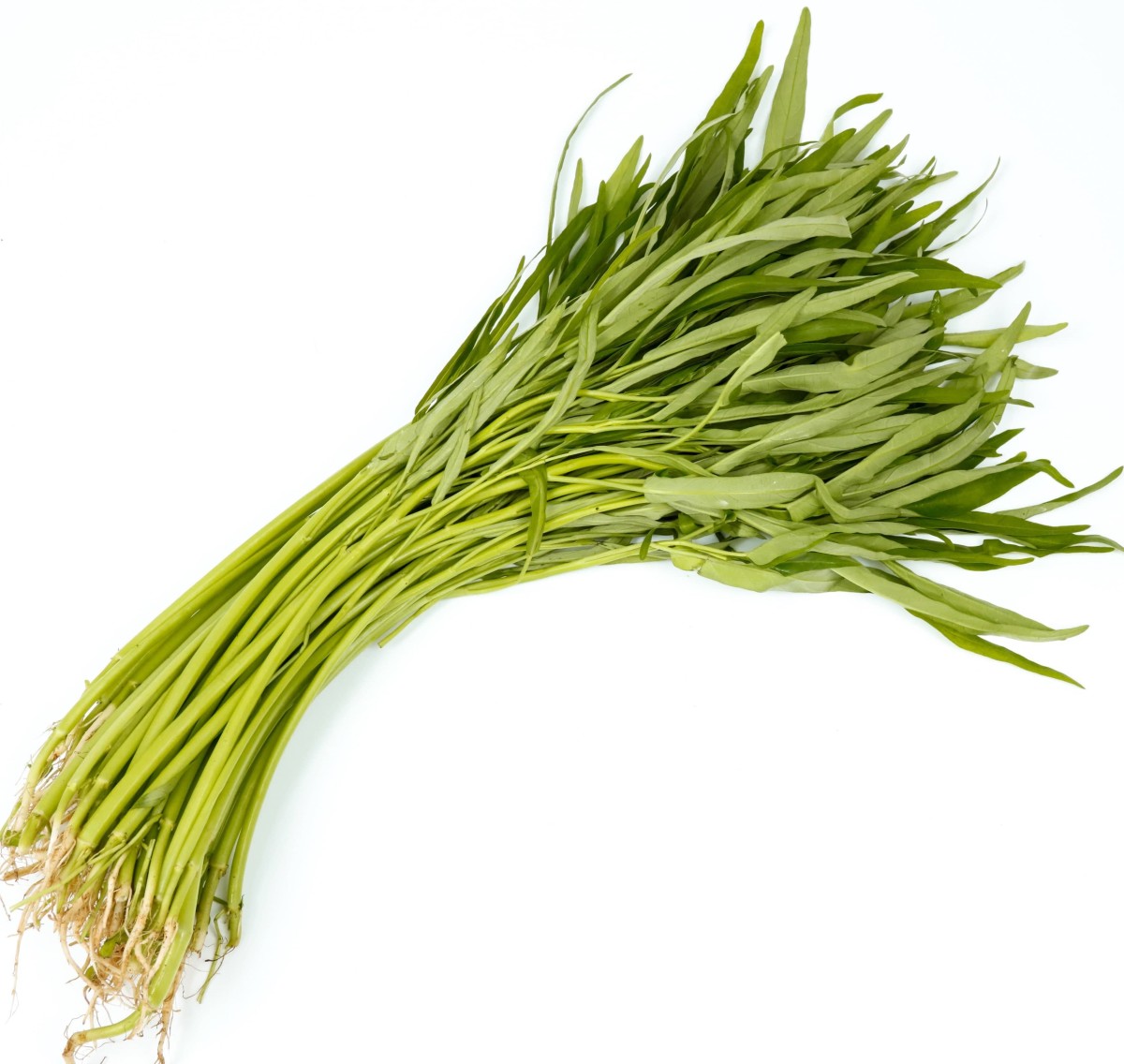 Vegetarian Filipino Adobong Kangkong (Asian Water Spinach Adobo) Recipe ...